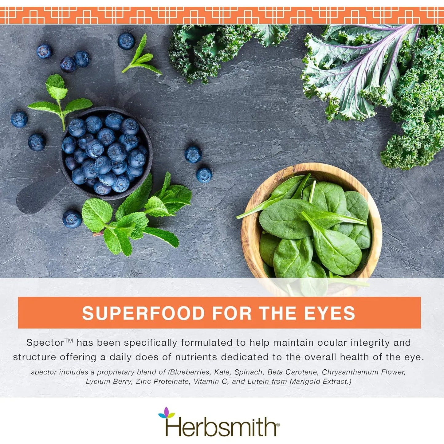 Soporte Ocular Visual Para Perros Antioxidante Masticables Mejora La Visión