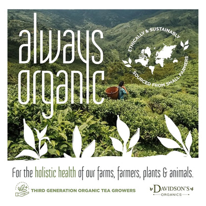 Té Davidson Sabor Frutas Exóticas 30 Bolsitas 45 Gramos Orgánico Y Delicioso