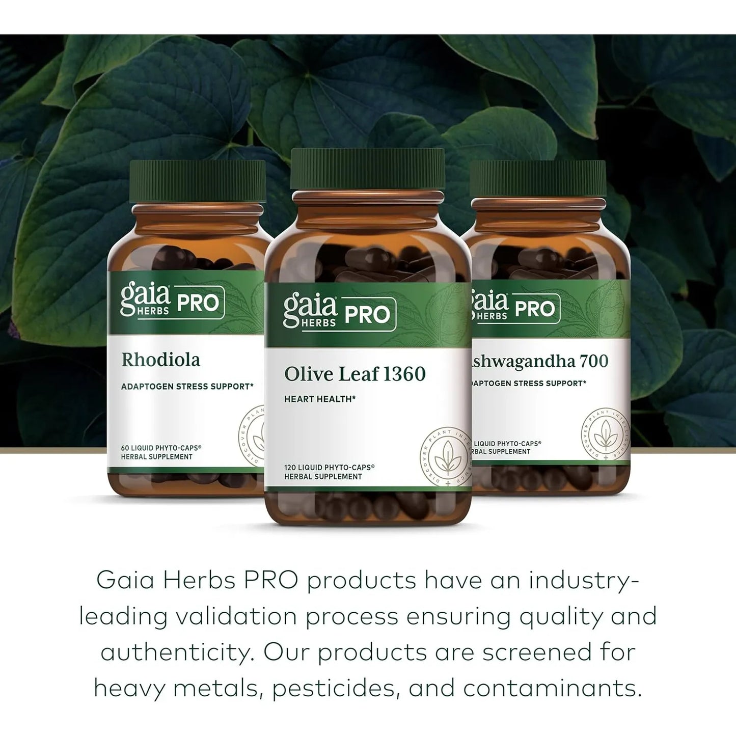 Gaia PRO Hoja De Olivo 1360 Mg Extracto Concentrado Para Bienestar Inmunológico