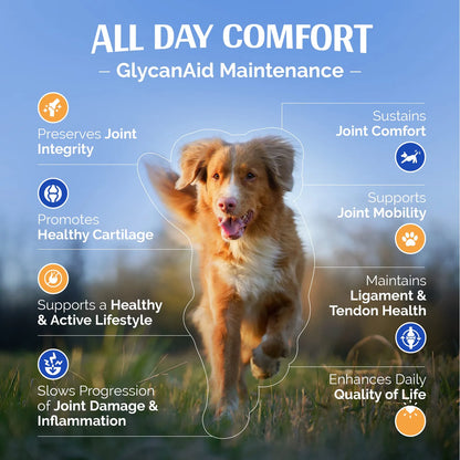GlycanAid Maintenance Nutricion Articular Para Perros 150 Tabletas Masticables