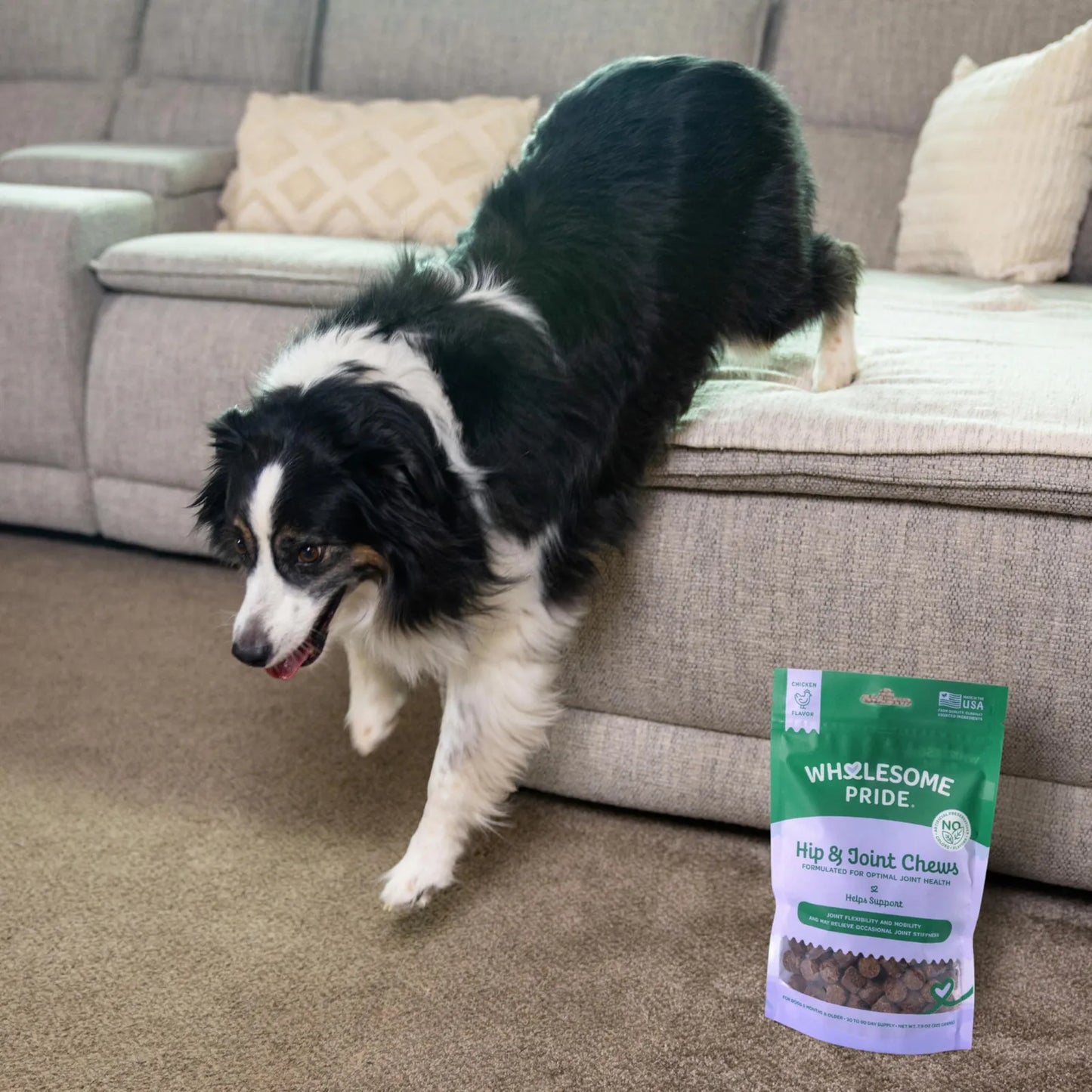 Masticables De Movilidad Para Perros Con Glucosamina Condroitina MSM Sabor Pollo