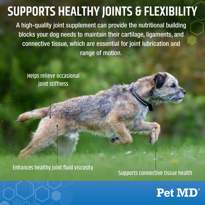Masticables Para Perros Con Glucosamina Condroitina Y MSM - Salud Articular Premium