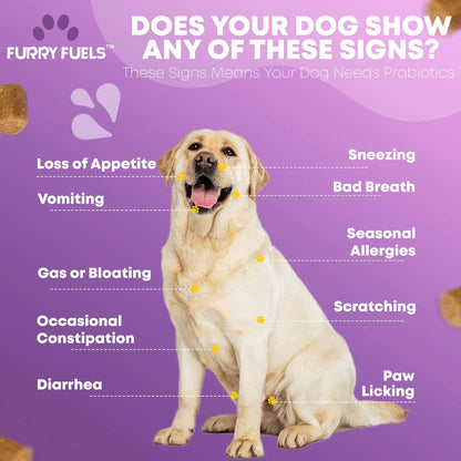 Masticables Probióticos Para Perros Salud Digestiva 120 Unid Sabor Pollo