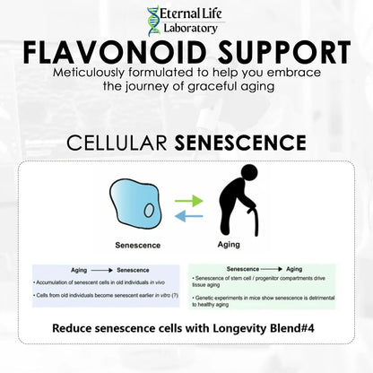 Suplemento Antienvejecimiento Longevity Blend Con Quercetina Y Rhodiola Rosea Para Defensa Celular