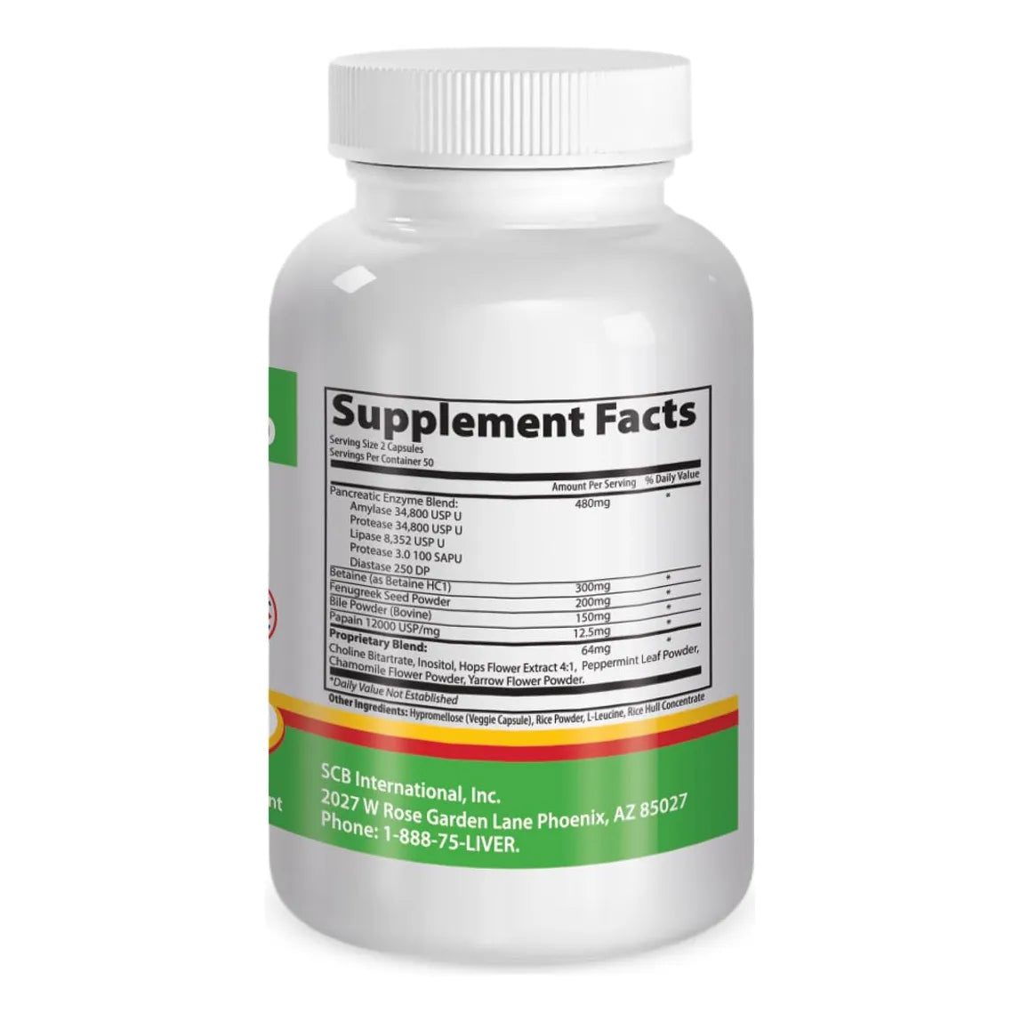 Enzimas Digestivas Suplemento Para Mejor Digestión Metabolismo Y Absorción