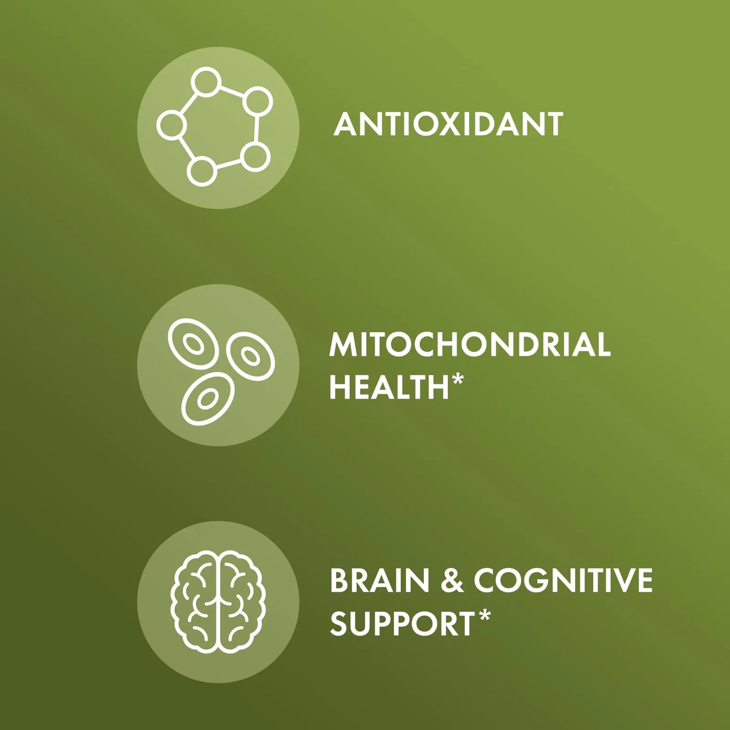 Ginkgo Biloba Organico Con Extracto De Cafe 30 Capsulas Soporte Cerebral