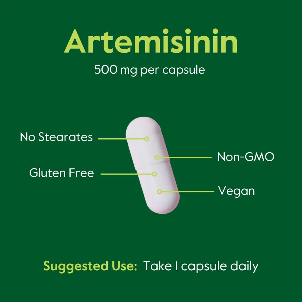 Artemisinina 500mg 60 Cápsulas Veganas Apoyo Inmunológico Y Digestivo