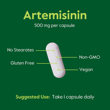 Artemisinina 500mg 60 Cápsulas Veganas Apoyo Inmunológico Y Digestivo