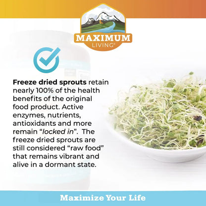 Multivitamínico Vita Sprout 120 Cápsulas Cabello Piel Uñas Saludables Y Soporte Inmunológico