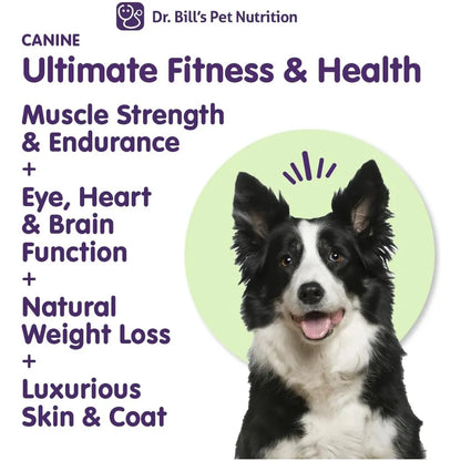 Vitaminas Caninas Multivitaminico Con Coenzima Q10 Para Perros Dr Bills