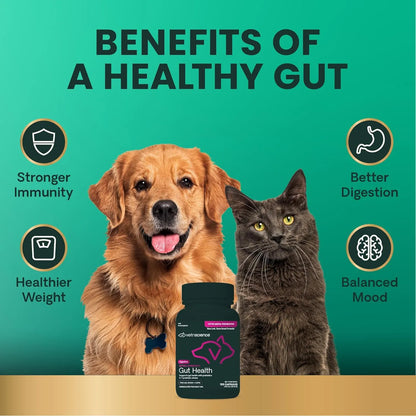 Mega Probiotic Para Perros Y Gatos 120 Capsulas VetriScience Laboratories Suplemento Digestivo