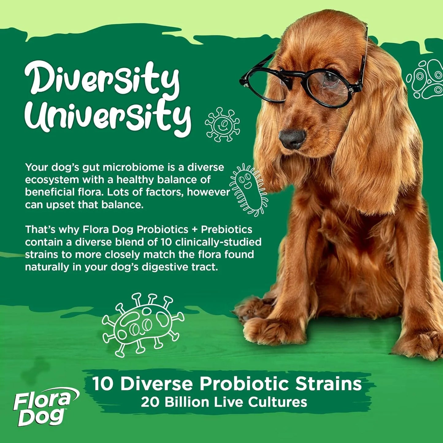 Polvo Probiótico Para Perros Flora 20 Mil Millones Cultivos Vital Planet