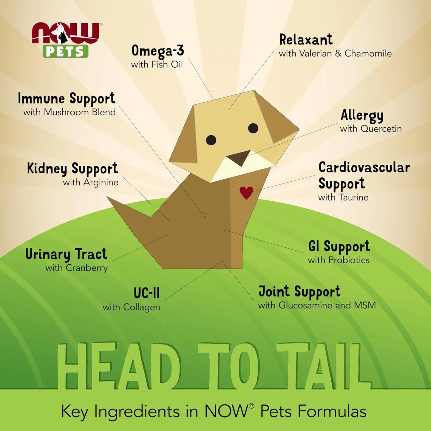 Suplemento Digestivo Para Mascotas NOW Pets G.I. Support 90 Tabletas Masticables