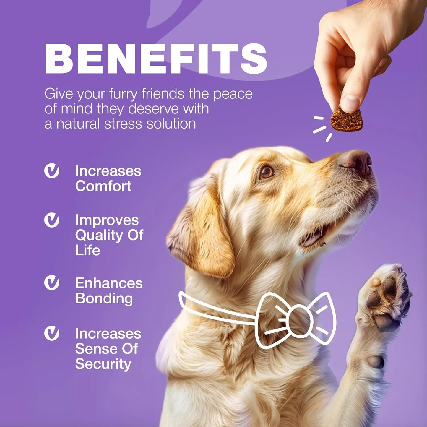 Multivitaminas Masticables 15 En 1 Para Perros Con MSM Salud Articular Y Piel