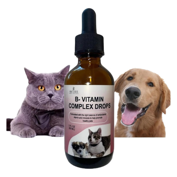 Gotas Líquidas Vitamina B12 Para Perros Y Gatos Energía Y Apetito