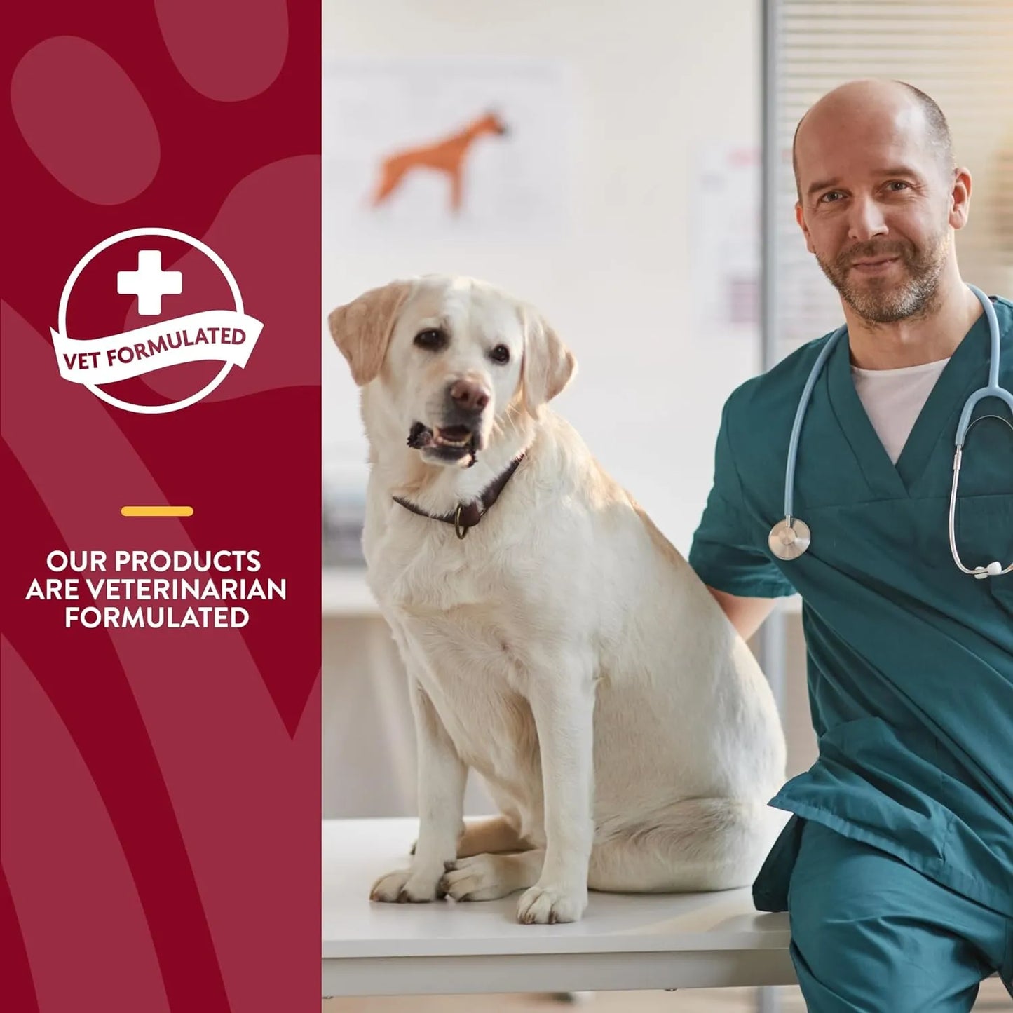 Bocados Masticables Con Arándanos Y Equinácea Para Salud Urinaria E Inmunológica De Tu Perro