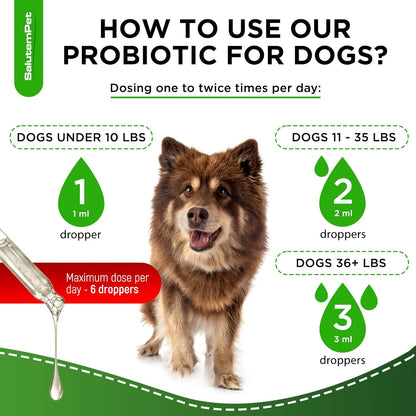 Probióticos Líquidos Para Perros Con Prebióticos Y Enzimas Digestivas 2 Onzas
