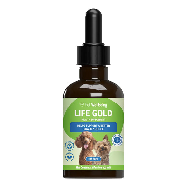 Suplemento Life Gold Para Perros Y Gatos Apoyo Natural Contra Cáncer 2 Onzas