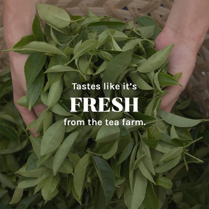 Paquete De 6 Bolsas De Té Chai Orgánico Surtido Sin Cafeína Uncle Lees Imperial