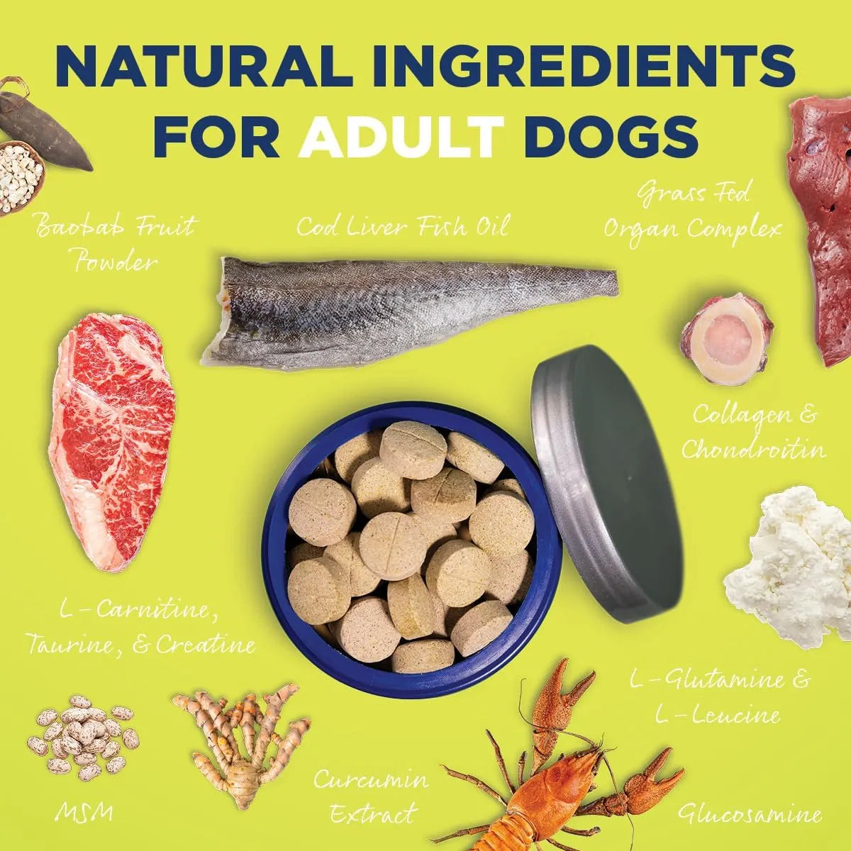 Suplemento Multifuncional Para Perros Con Enzimas Digestivas Glucosamina Y Vitaminas