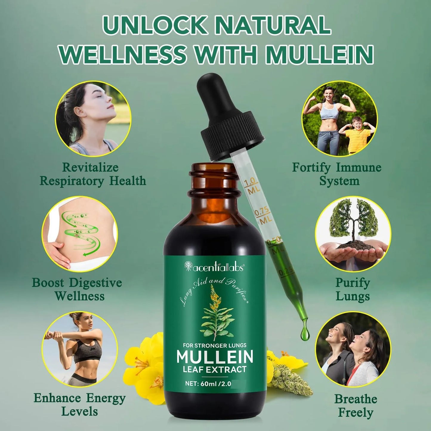 Gotas De Gordolobo Extracto Natural 120ml Limpieza Pulmonar Y Soporte Respiratorio