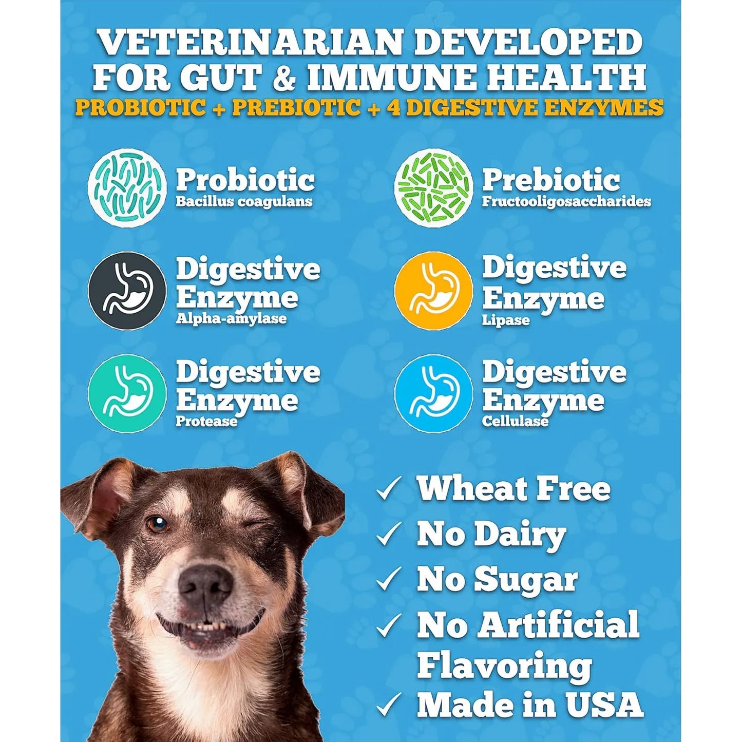 Masticables Probióticos Y Enzimas Digestivas Para Perros Salud Intestinal