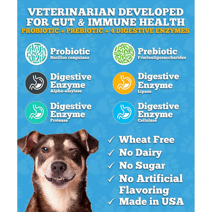 Masticables Probióticos Y Enzimas Digestivas Para Perros Salud Intestinal