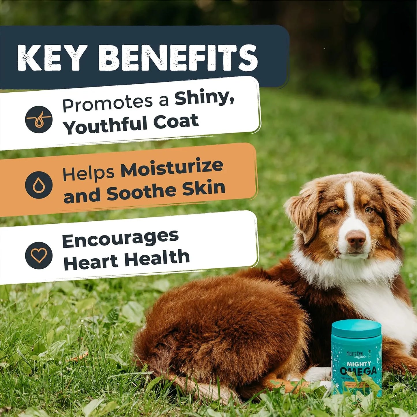 Aceite De Pescado Omega 3 Masticable Para Perros 120 Unidades Mighty Paw Waggables