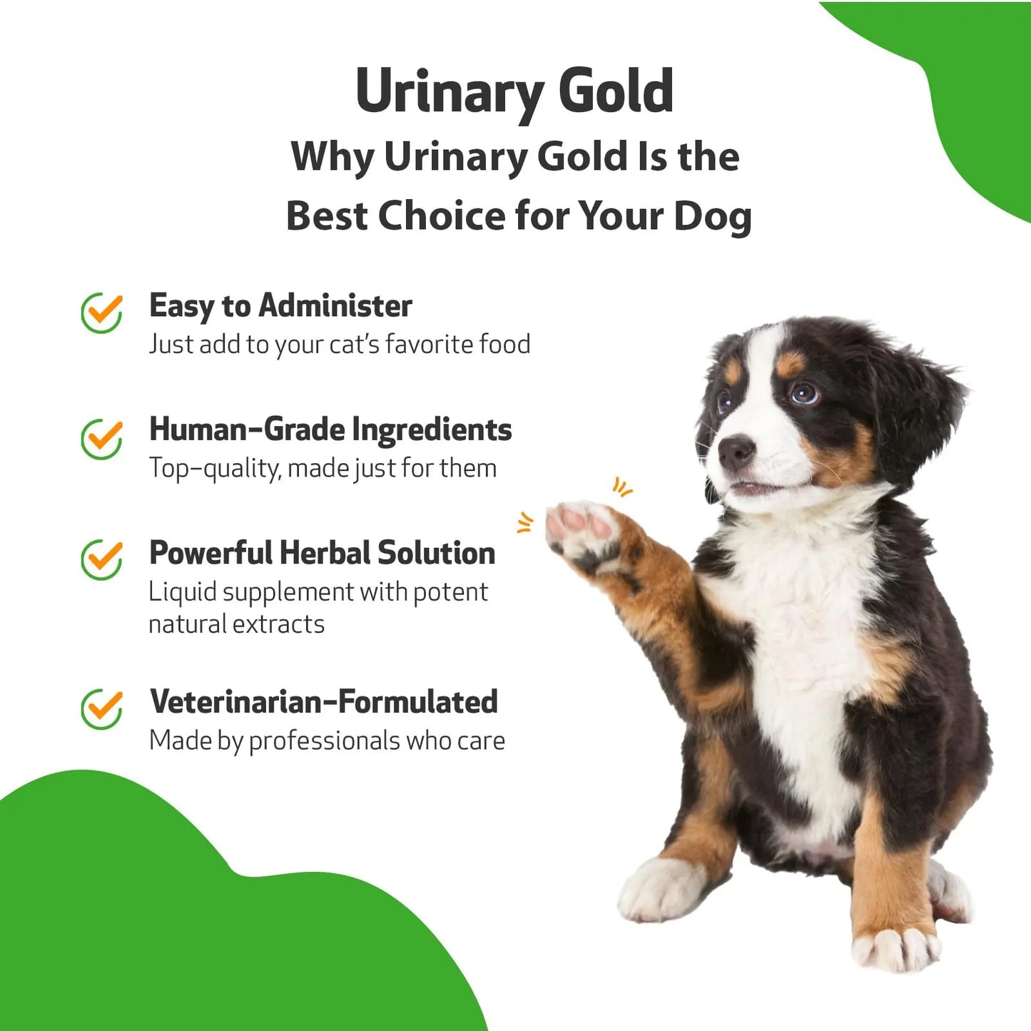 Oro Urinario Para Perros Pet Wellbeing Suplemento Salud Tracto Urinario
