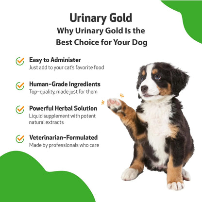 Oro Urinario Para Perros Pet Wellbeing Suplemento Salud Tracto Urinario