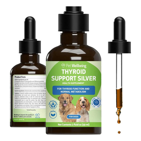 Soporte Tiroides Plateado Para Gatos Formulado Por Veterinarios Mejora Energia Y Piel