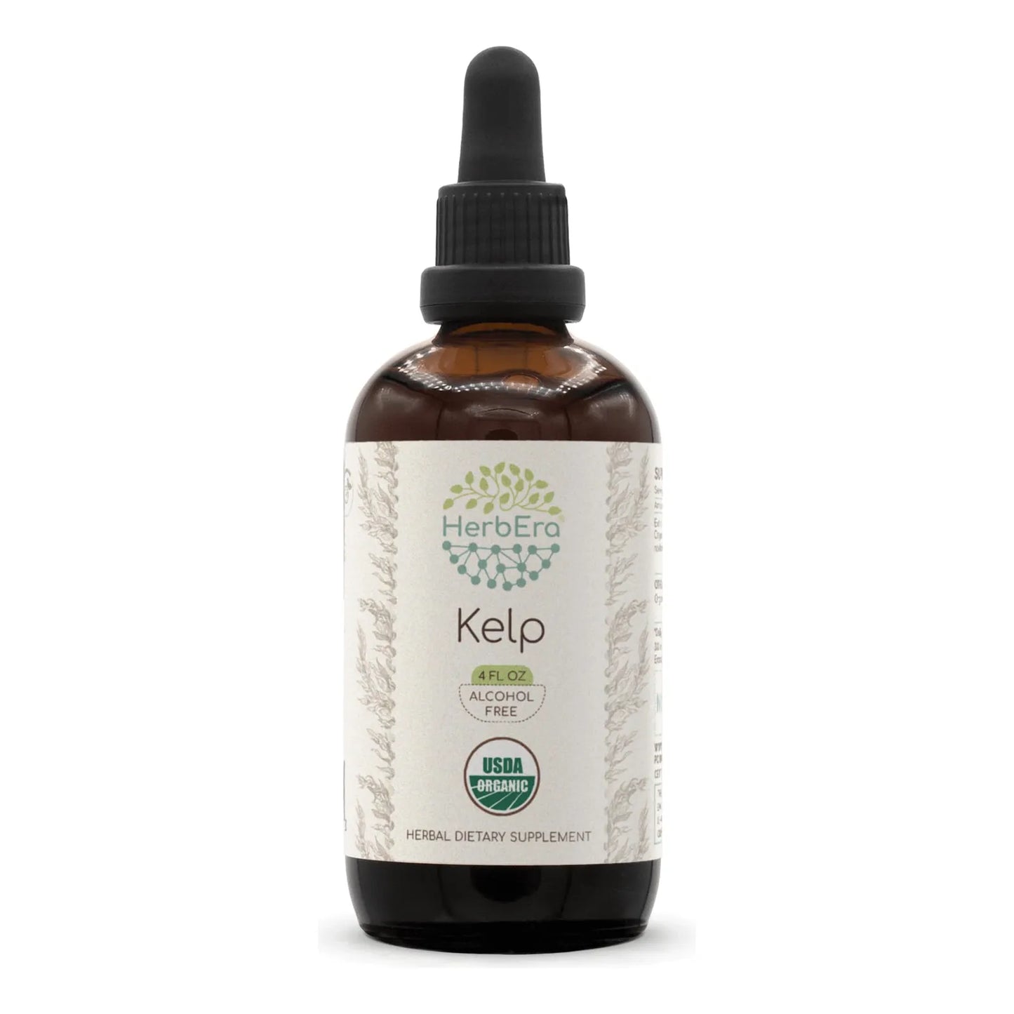 Tintura Organica Kelp B120 Gotas De Hierbas Alta Potencia Extracto Sin Alcohol 4 Onzas