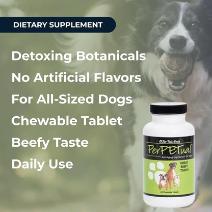 Suplemento Antienvejecimiento Huesos Articulaciones Perro Youngevity Perpetual 60 Tabletas