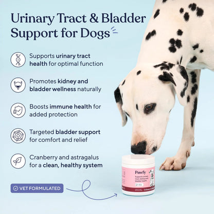 Suplemento Uti Perros Arándano D Manosa Salud Vejiga Y Tracto Urinario Pawfy