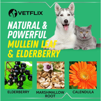 Tratamiento Tos Perrera Perros Gatos Hoja Gordo Saúco Alivio Natural