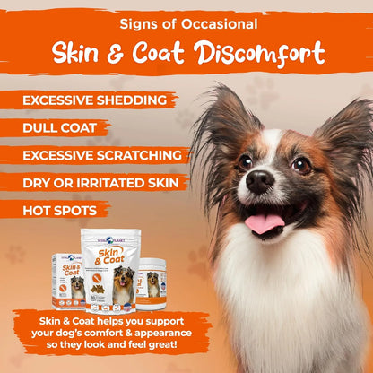 Aceite Natural Para Piel Y Pelaje De Perros Vital Planet Con Colina Y Omega-3