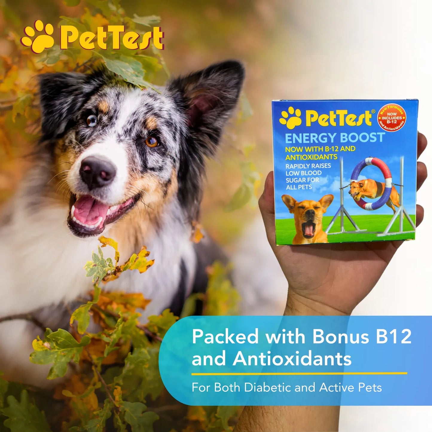 PetTest New Energy Boost Glucosa SOS Para Mascotas Sabor Carme Recuperacion Rapida