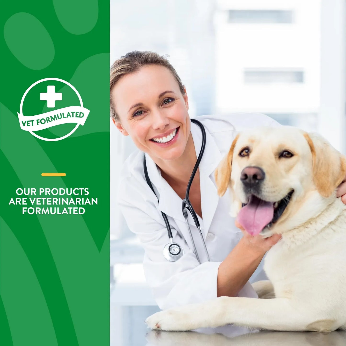 Enzimas Digestivas Con Probióticos Y Prebióticos Para Perros Y Gatos 1 Lb Polvo