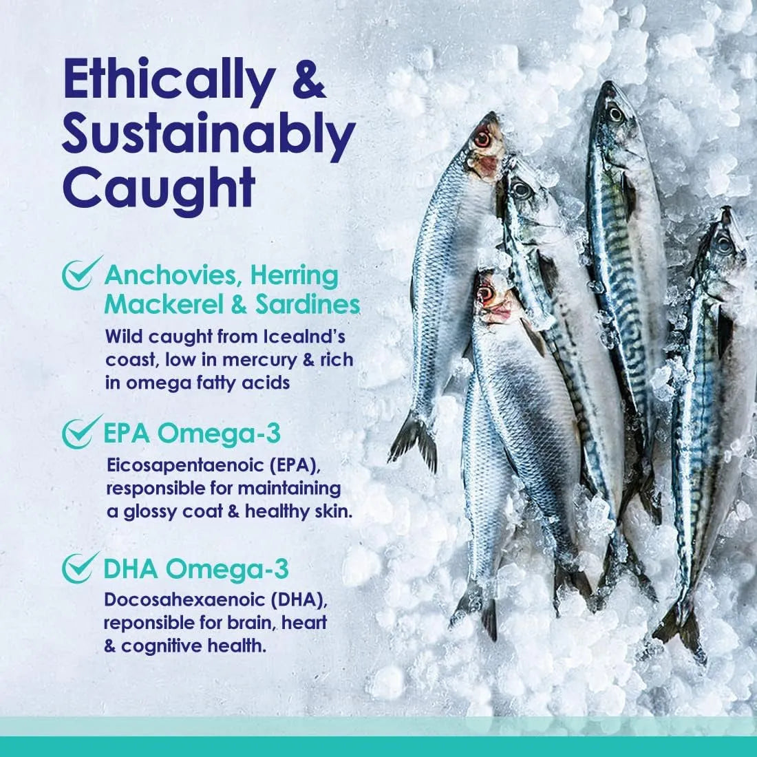 Aceite De Pescado Liquido Para Perros Omega 3 6 9 Piel Y Pelaje Saludable Importado