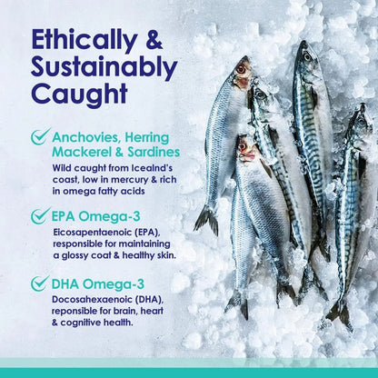 Aceite De Pescado Liquido Para Perros Omega 3 6 9 Piel Y Pelaje Saludable Importado