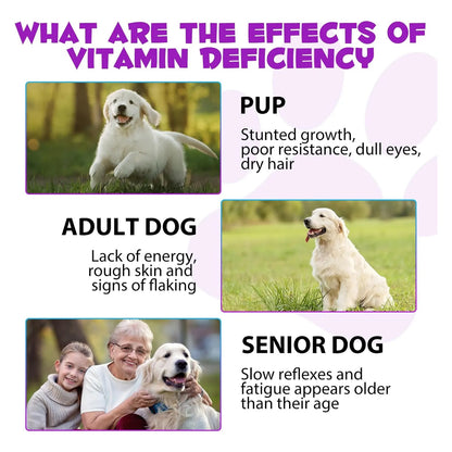 Multivitamínico Líquido 15 En 1 Para Perros Salud Corazón Huesos Articulaciones Piel