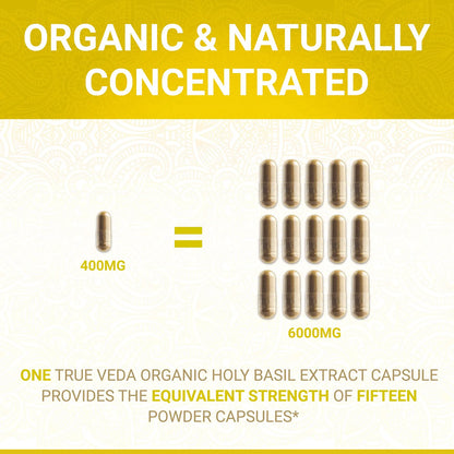 Capsulas Organicas De Albahaca Sagrada Con Vitamina B6 Y Acido Ursolico 25