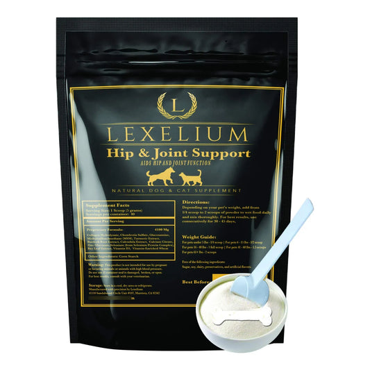 Suplemento Articular Para Perros Y Gatos Con Condroitina Cúrcuma Glucosamina MSM