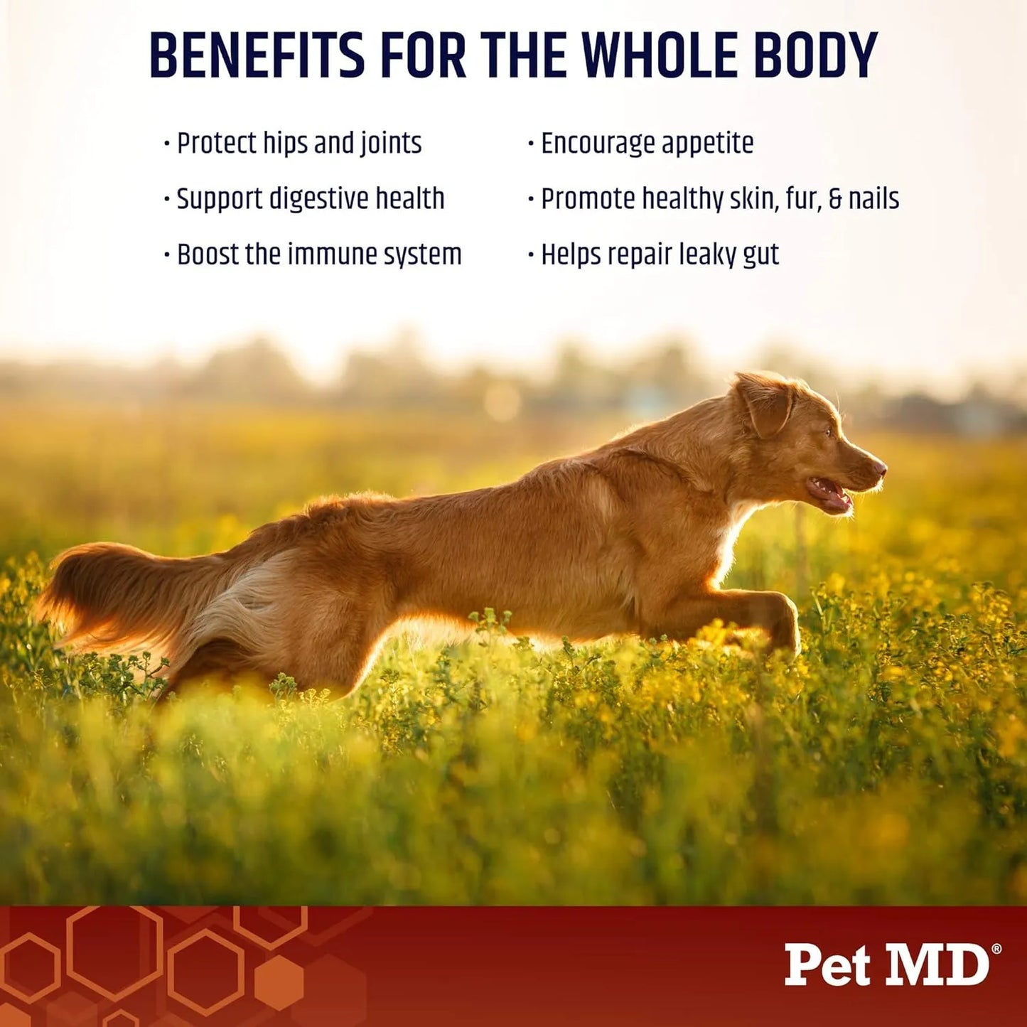 Caldo De Huesos Para Perros Nutritivo Con Vitaminas Y Minerales