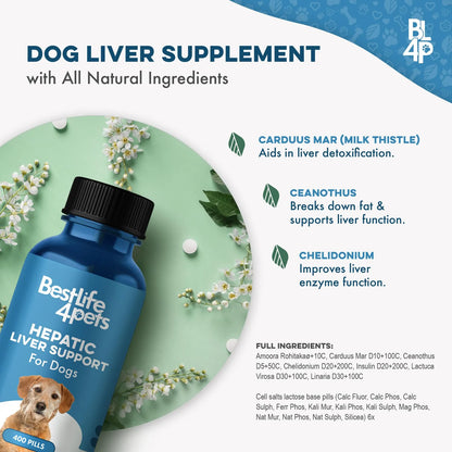 Soporte Hepático Natural Para Perros Digestivo Homeopático 100 Natural 450 Pastillas