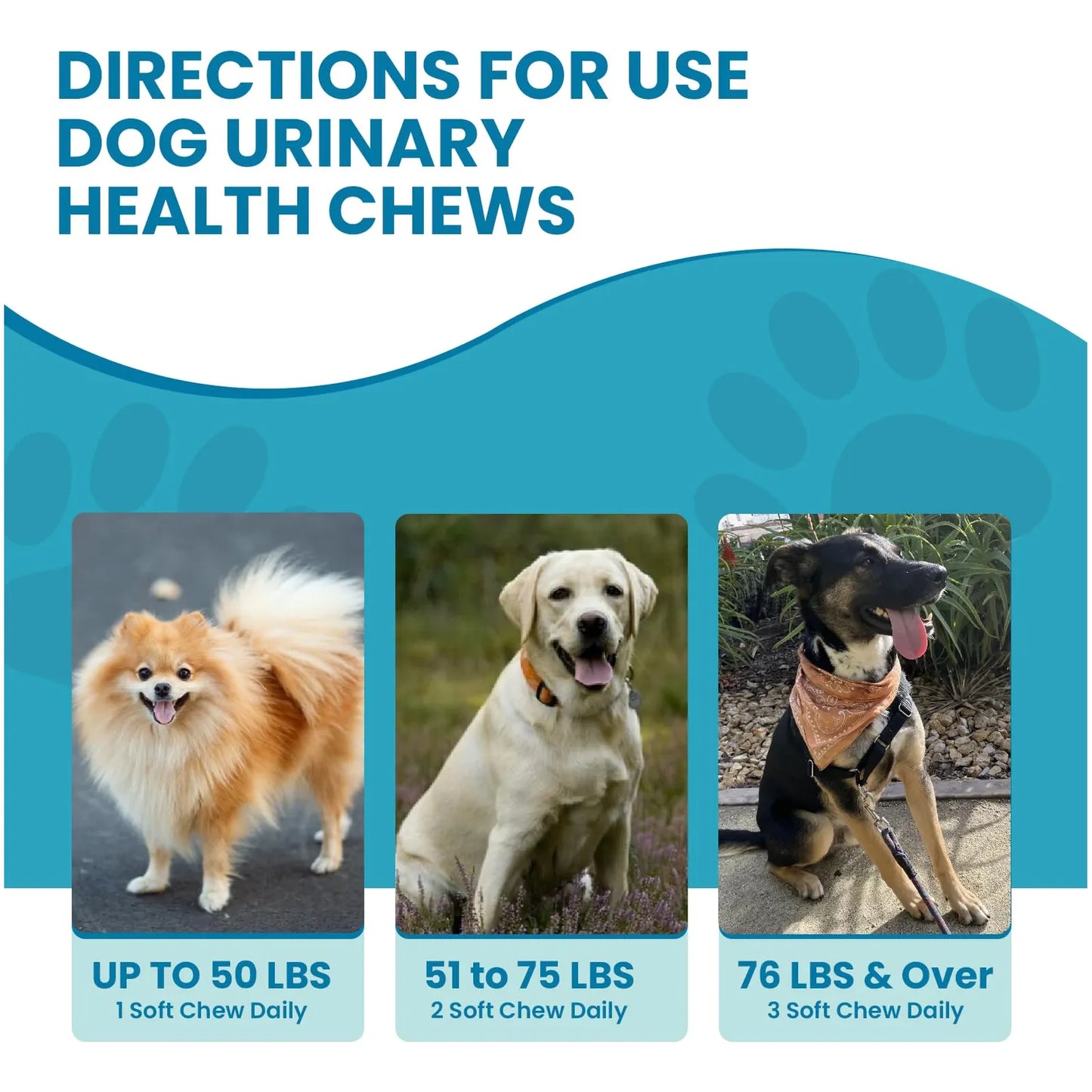 Masticables Para Perros Con Extracto De Arándano Tratamiento Infecciones Urinarias