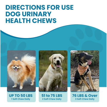 Masticables Para Perros Con Extracto De Arándano Tratamiento Infecciones Urinarias