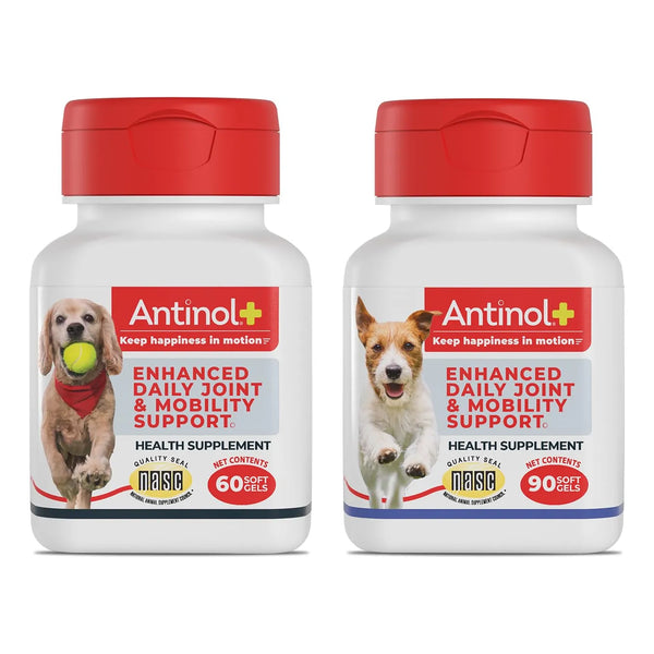 Suplemento Articulaciones Perro Mejillones Labios Verdes Aceite Krill 150 Caps