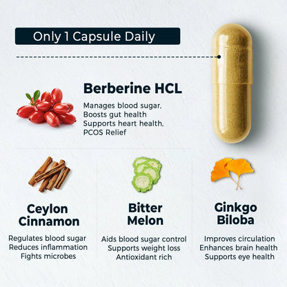 Suplemento De Berberina 4 En 1 Con Canela Melón Amargo Y Ginkgo 60 Cápsulas Potencia Metabólica E Inmunidad