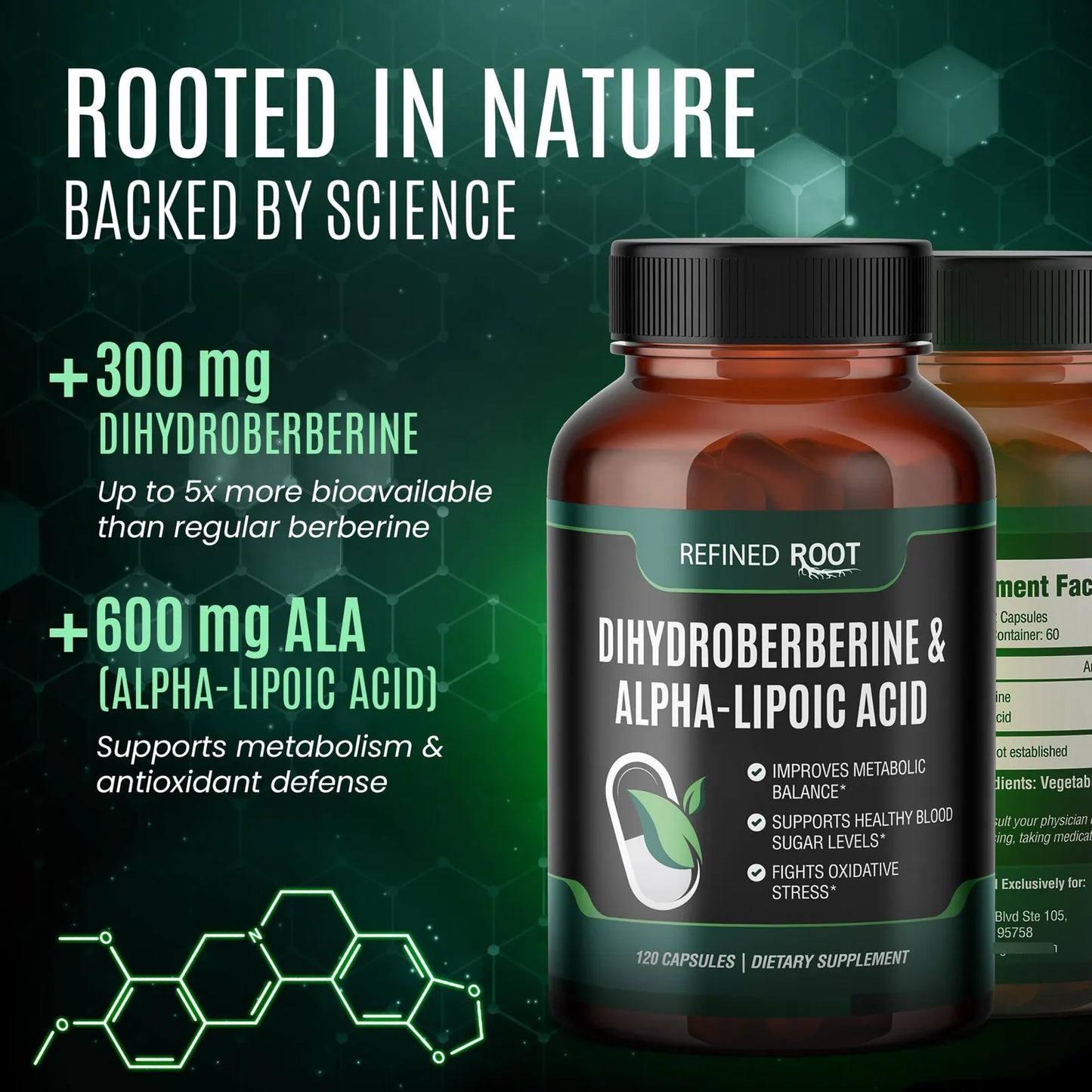 Dihidroberberina 300 Mg Con Acido Alfa Lipoico 600 Mg Suplemento Metabólico Premium